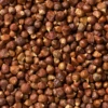 Grains Of Paradise (Aframomum Melegueta)