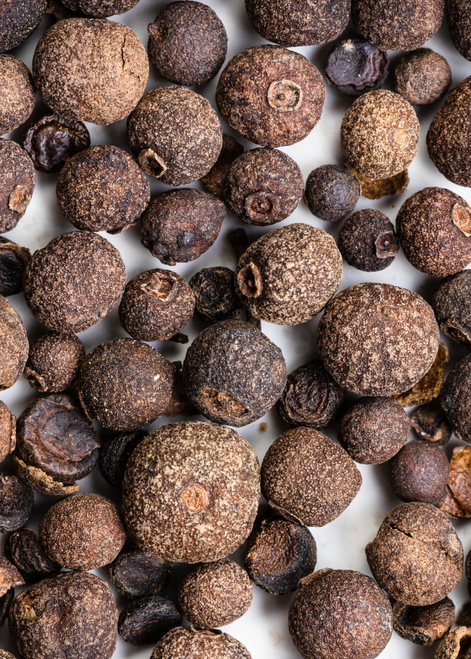 Allspice (Pimenta Dioica) - Image 4