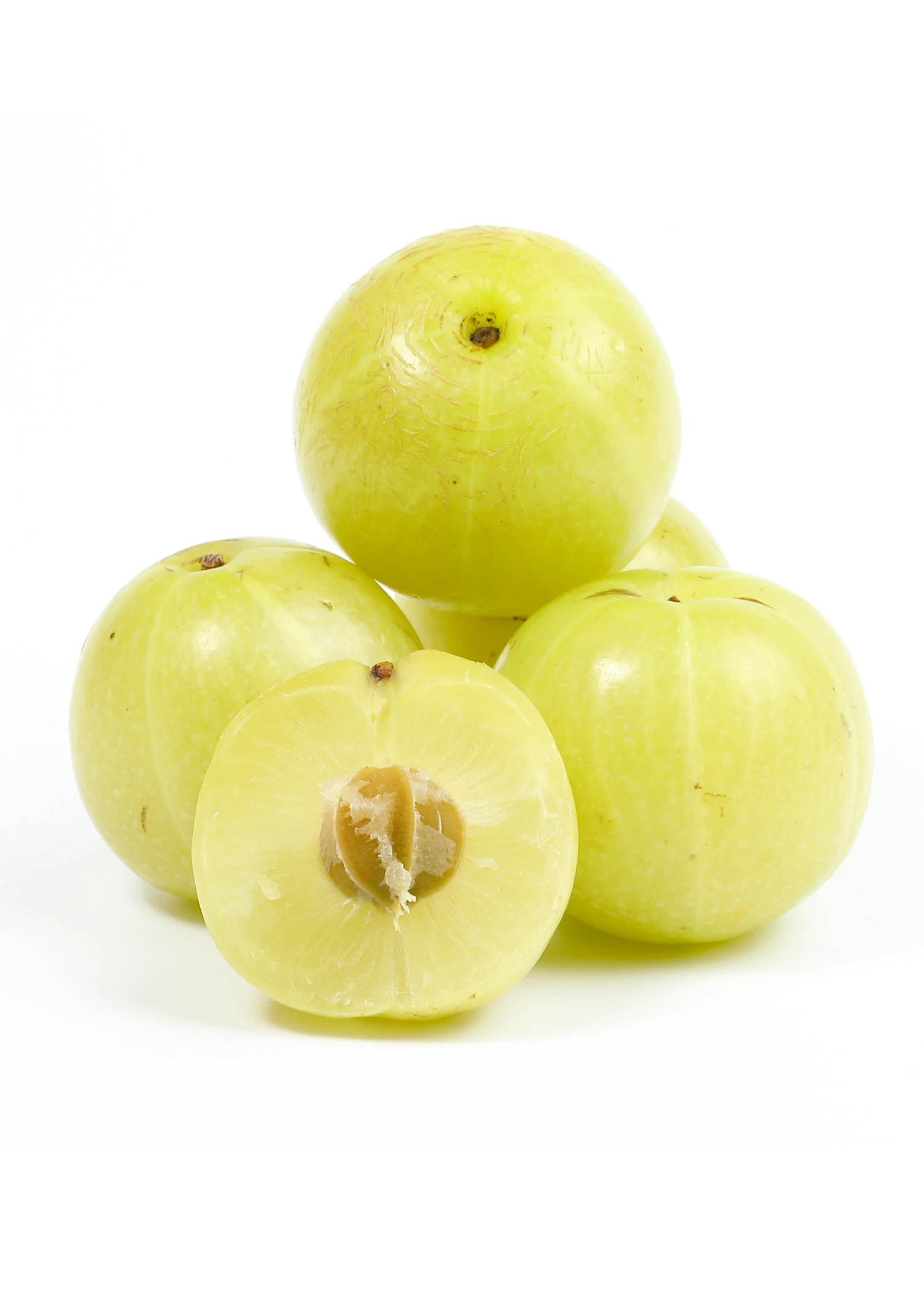 Amla, Indian Gooseberry (Phyllanthus Emblica) - Image 2