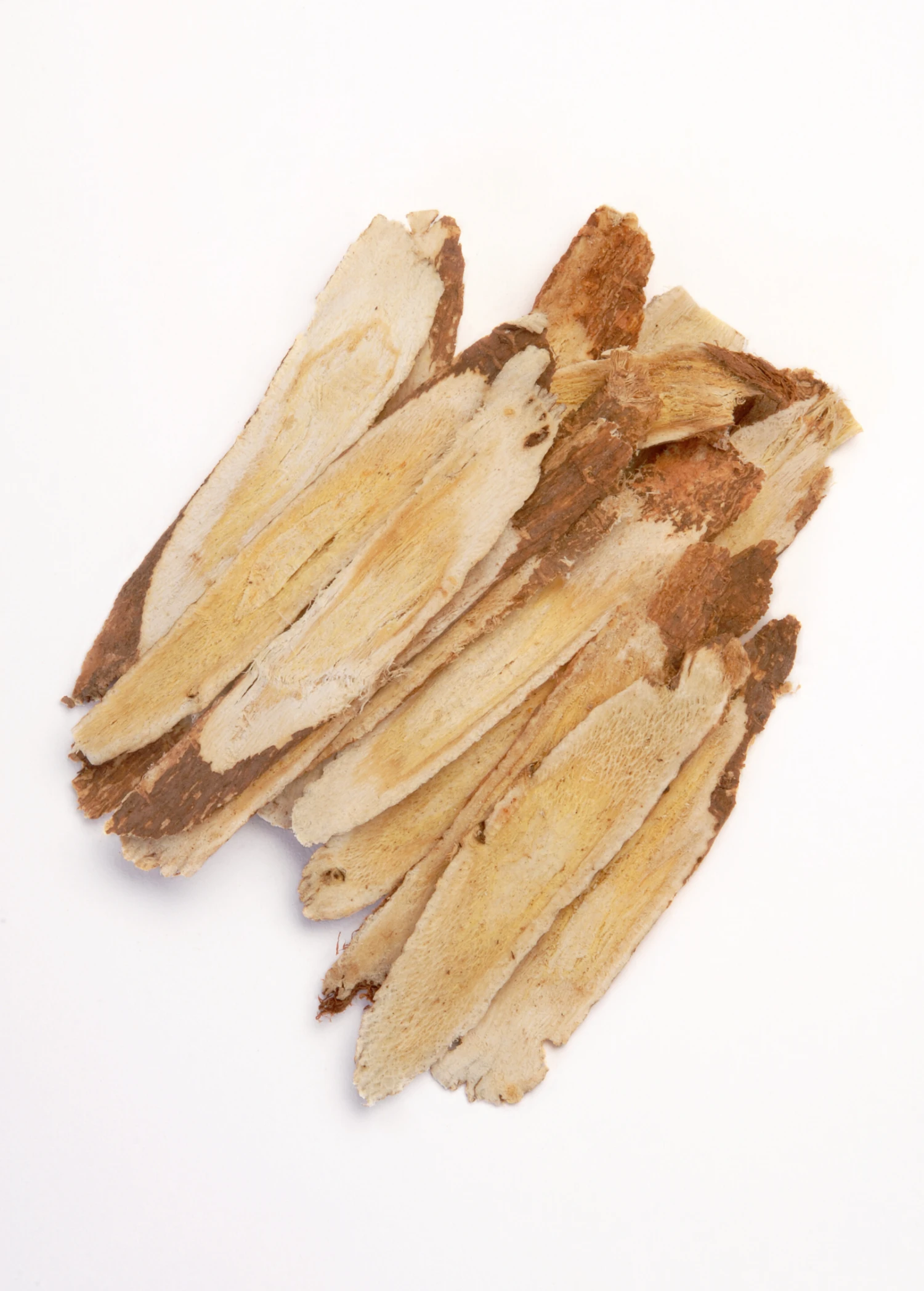 Astragalus (Astragalus Membranaceus) - Image 2
