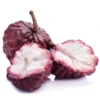 Red Sugar Apple Seedling (Annona Squamosa L.)