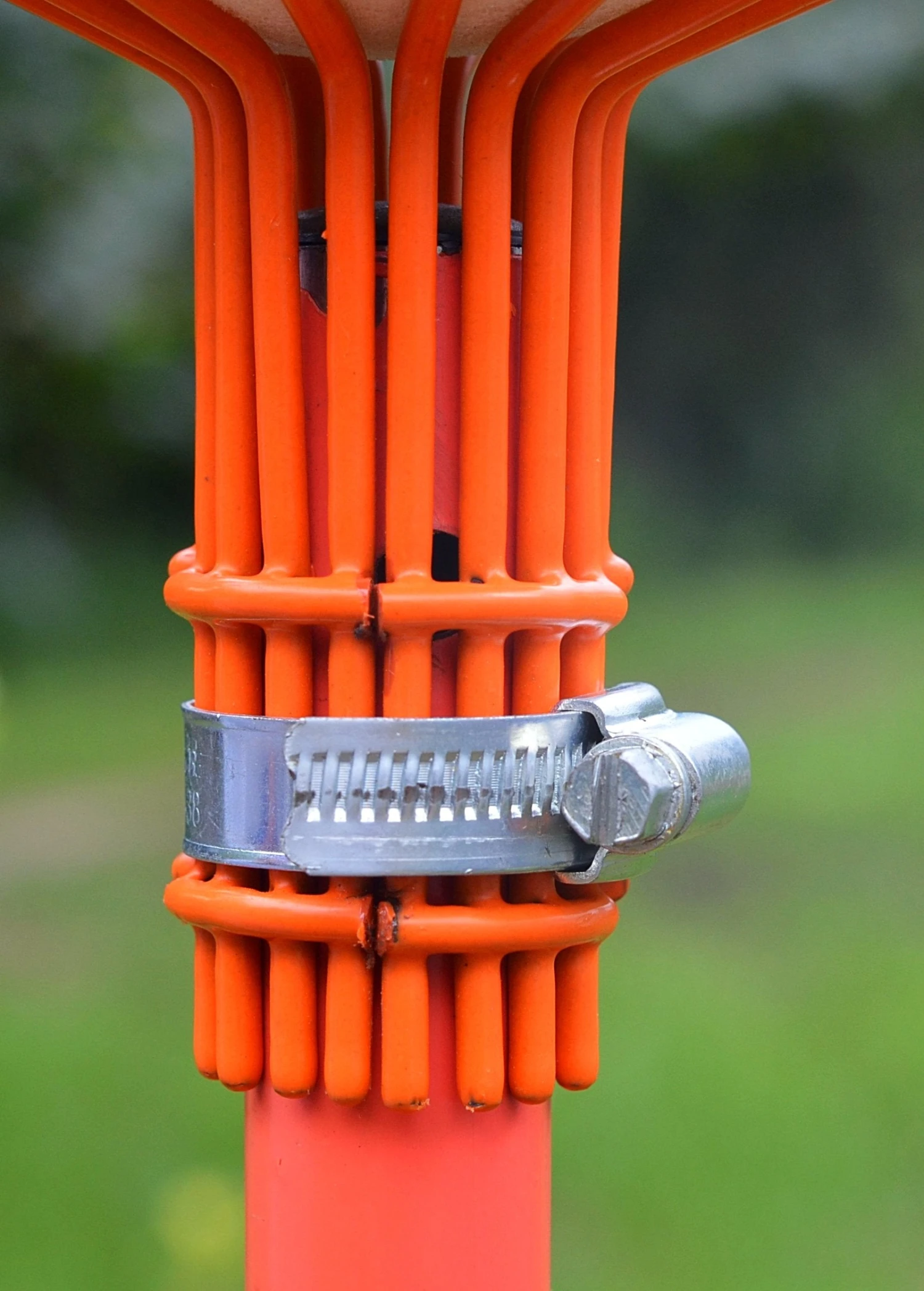 Fruit Picker - Image 5