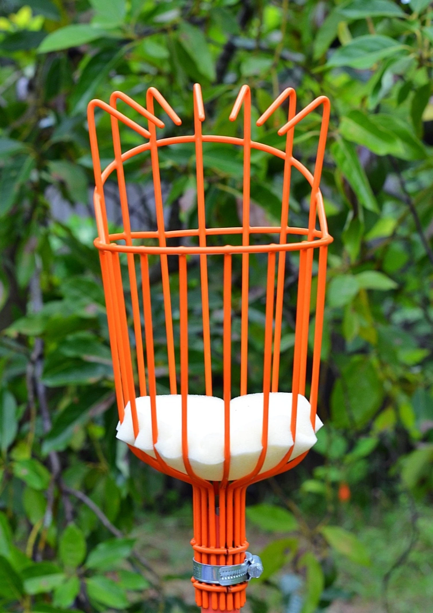 Fruit Picker - Image 2