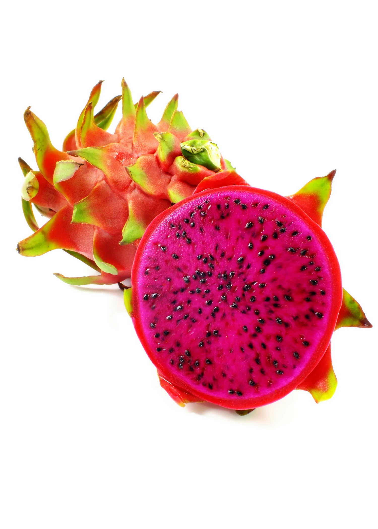 Dragon Fruit, Red 'Tricia' (Hylocereus Polyrhizus) - Image 3