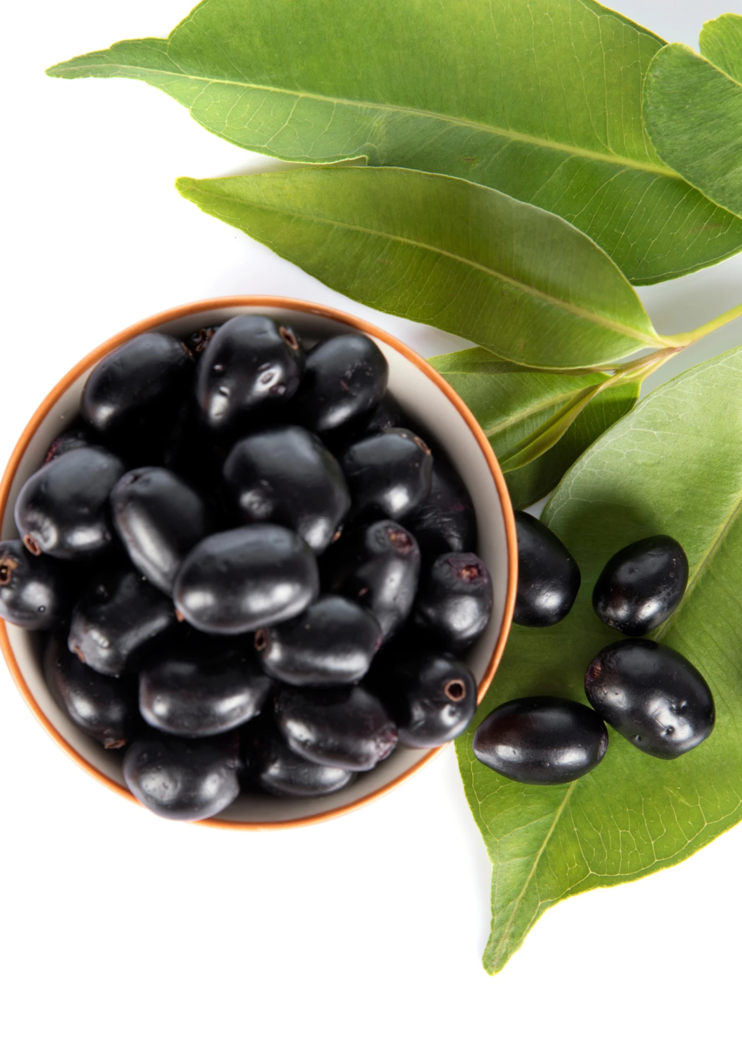 Jamun (Syzygium Cumini) - Image 8