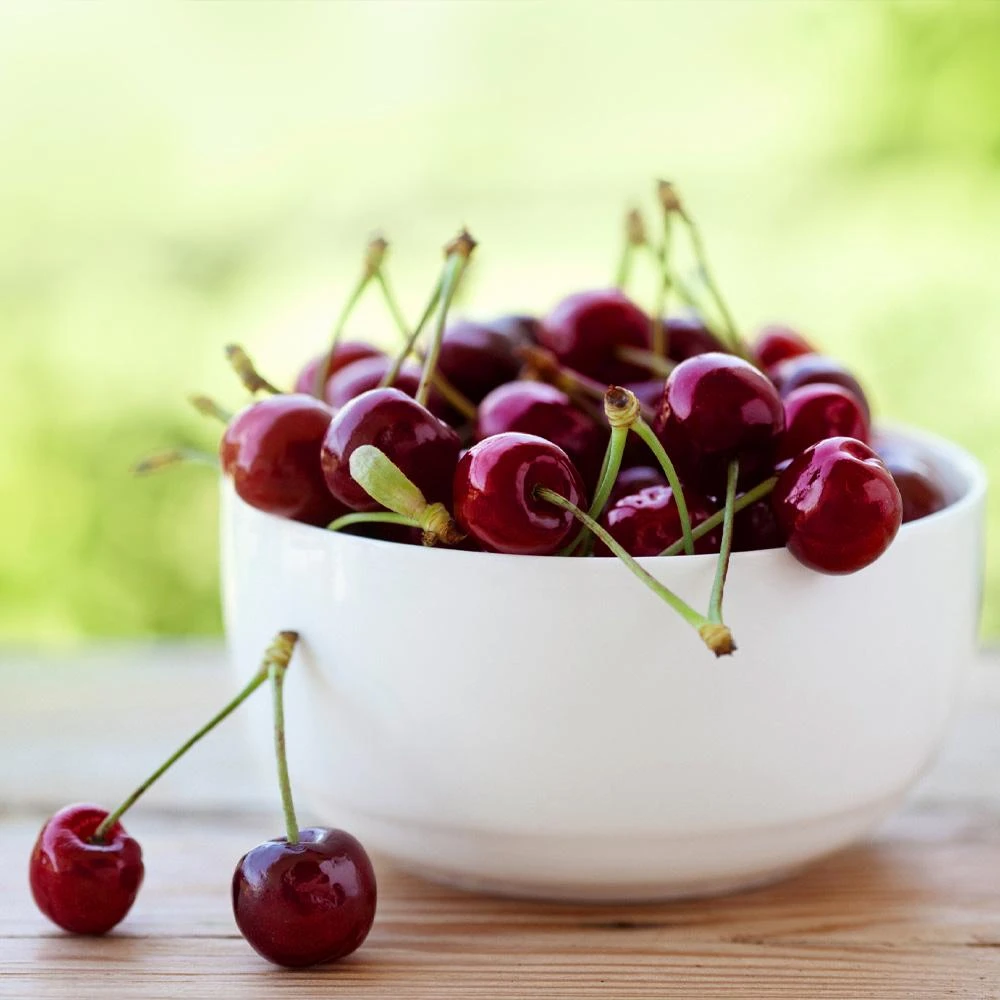 Lapins Cherry Tree - Image 3