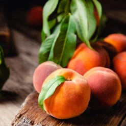 Multi-Peach Tree