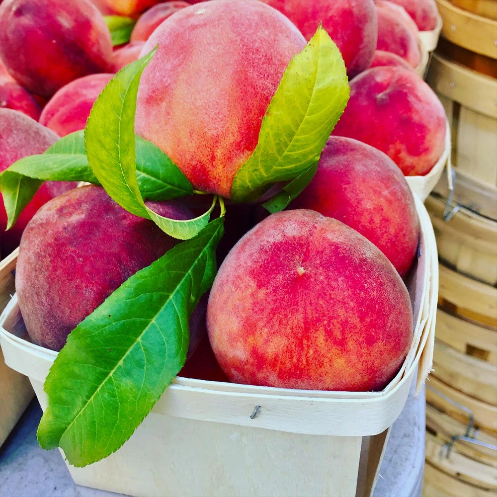 O'Henry Peach Tree - Image 3