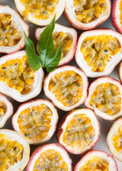 Panama Red Passion Fruit (Passiflora Edulis)