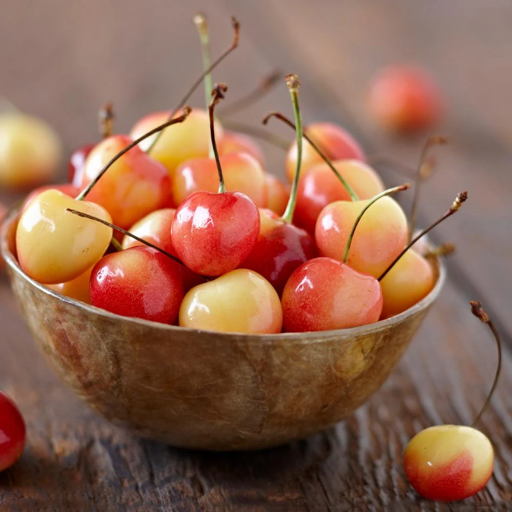 Royal Ann Cherry Tree - Image 3