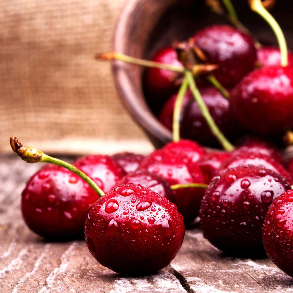 Skeena Cherry Tree - Image 3