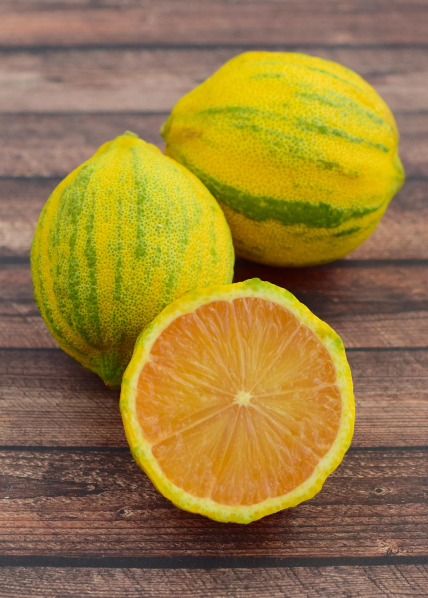Variegated Pink Lemon (Citrus × Limon) - Image 3
