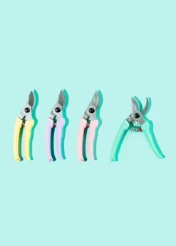 Colorful ARS Bypass Pruners