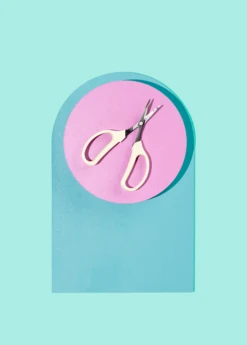 Angled Blade Fruit Scissor