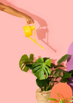 Haws Handy Watering Can