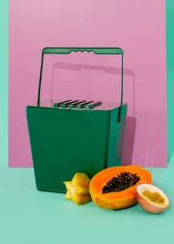 Mini Kitchen Compost Caddy