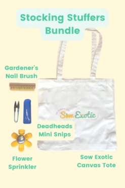 Stocking Stuffers Bundle