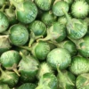 Thai Eggplant (Solanum Melongena)
