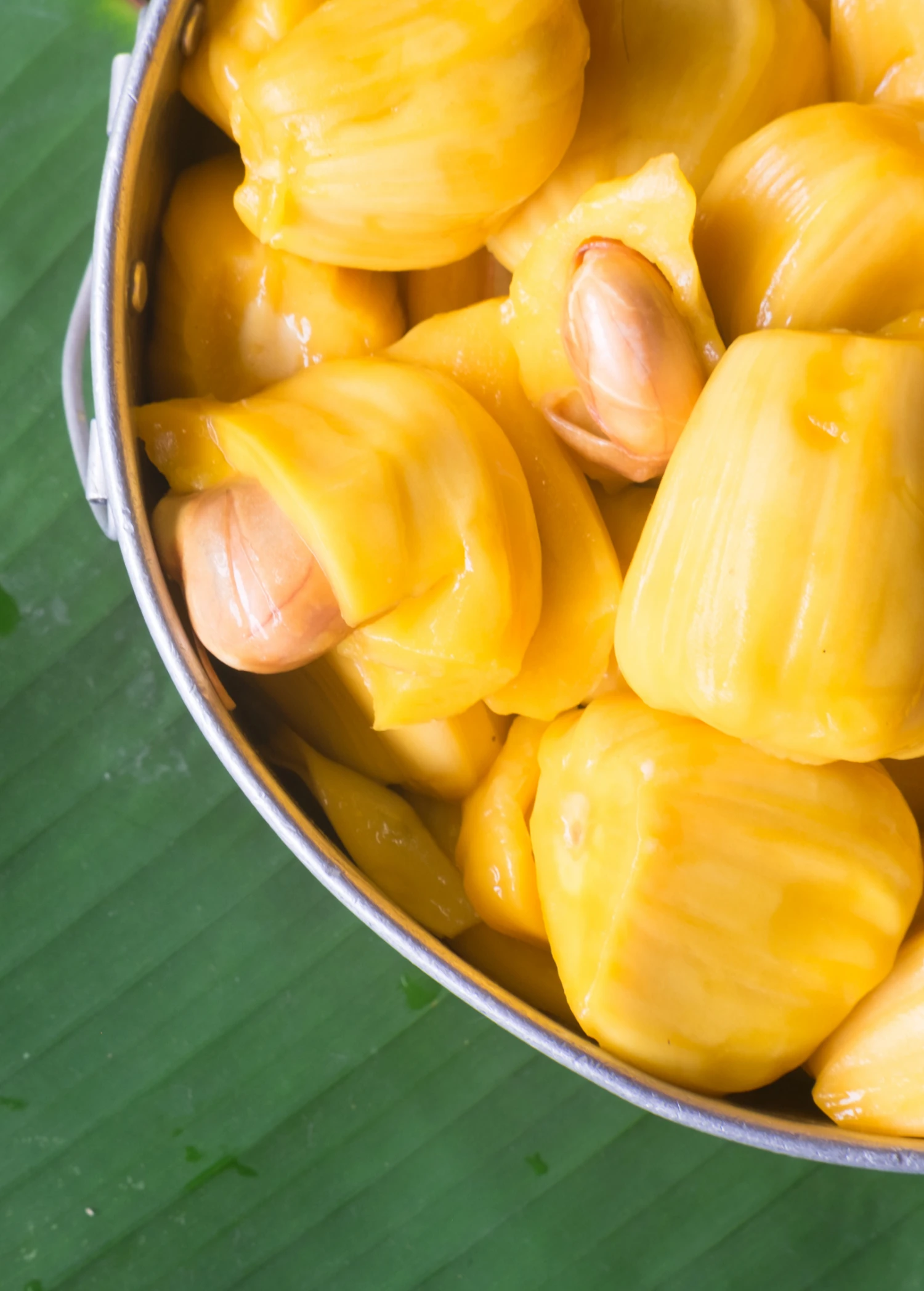 Jackfruit 'Crunchy' (Artocarpus Heterophyllus) - Image 5