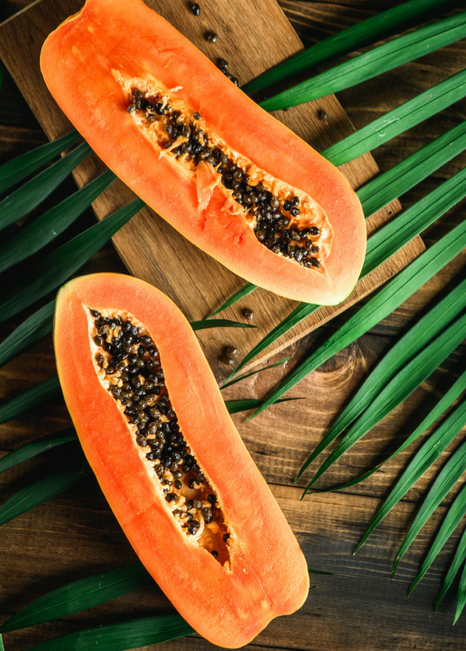 Papaya, 'Dwarf Red Lady' (Carica Papaya) - Image 2