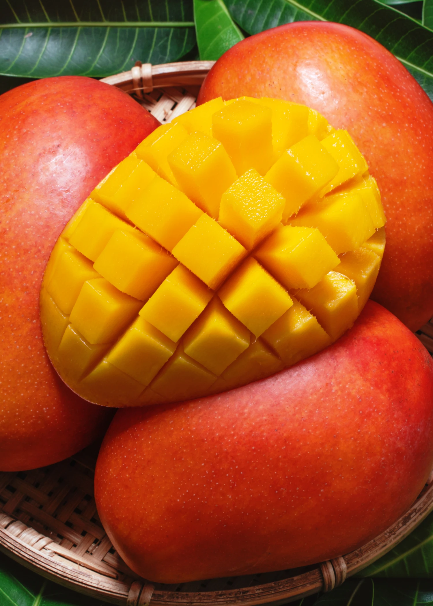 Mango 'Haden' (Mangifera Indica) - Image 2