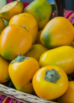 Cocona (Solanum Sessiliflorum)