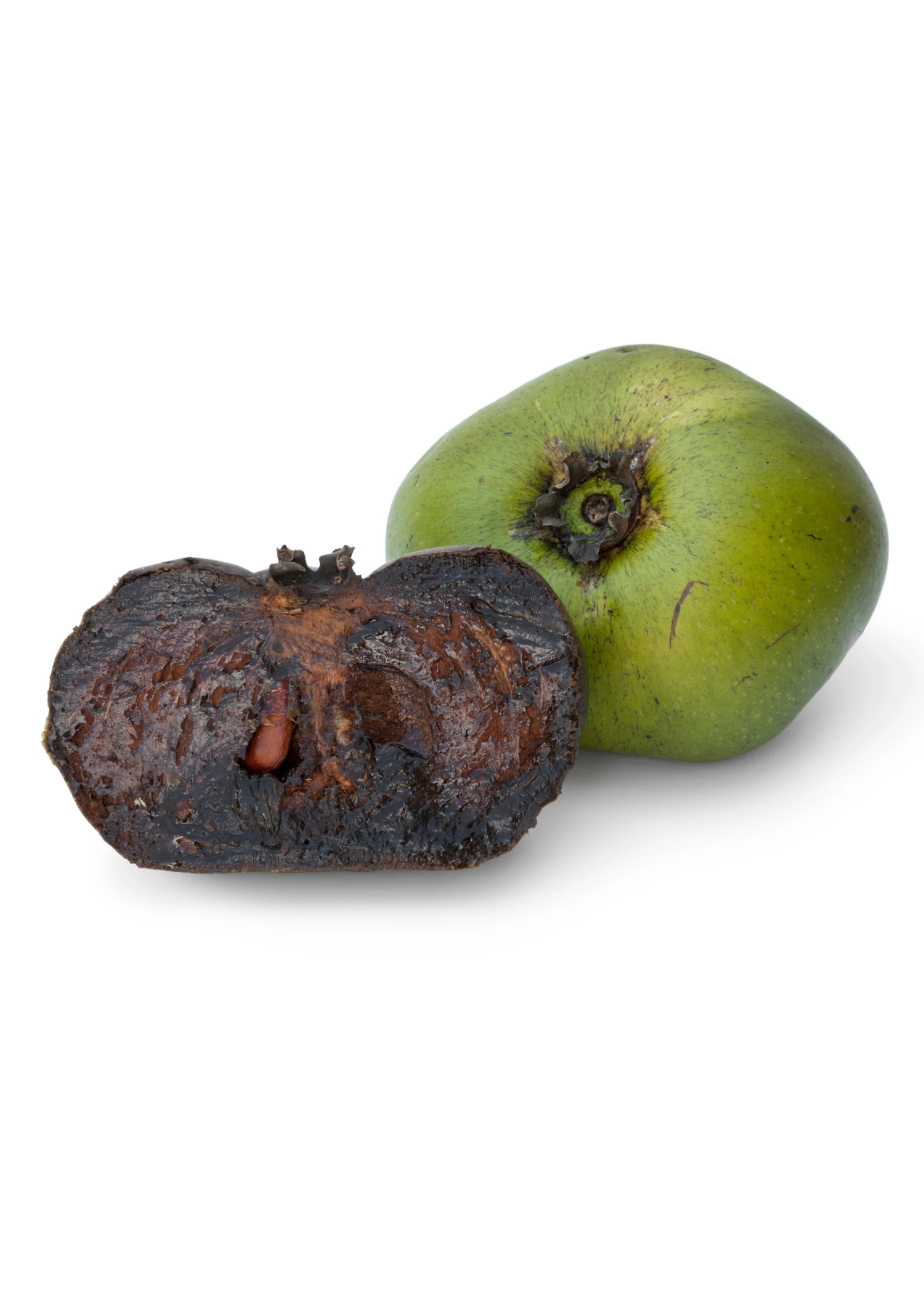 Black Sapote ‘Wilson’ (Diospyros Nigra) - Image 2