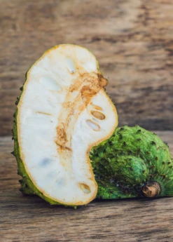 Soursop (Annona Muricata)