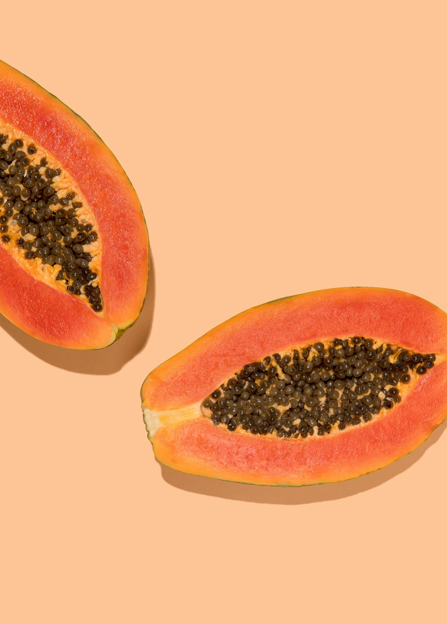 Papaya, 'Dwarf Red Lady' (Carica Papaya) - Image 3