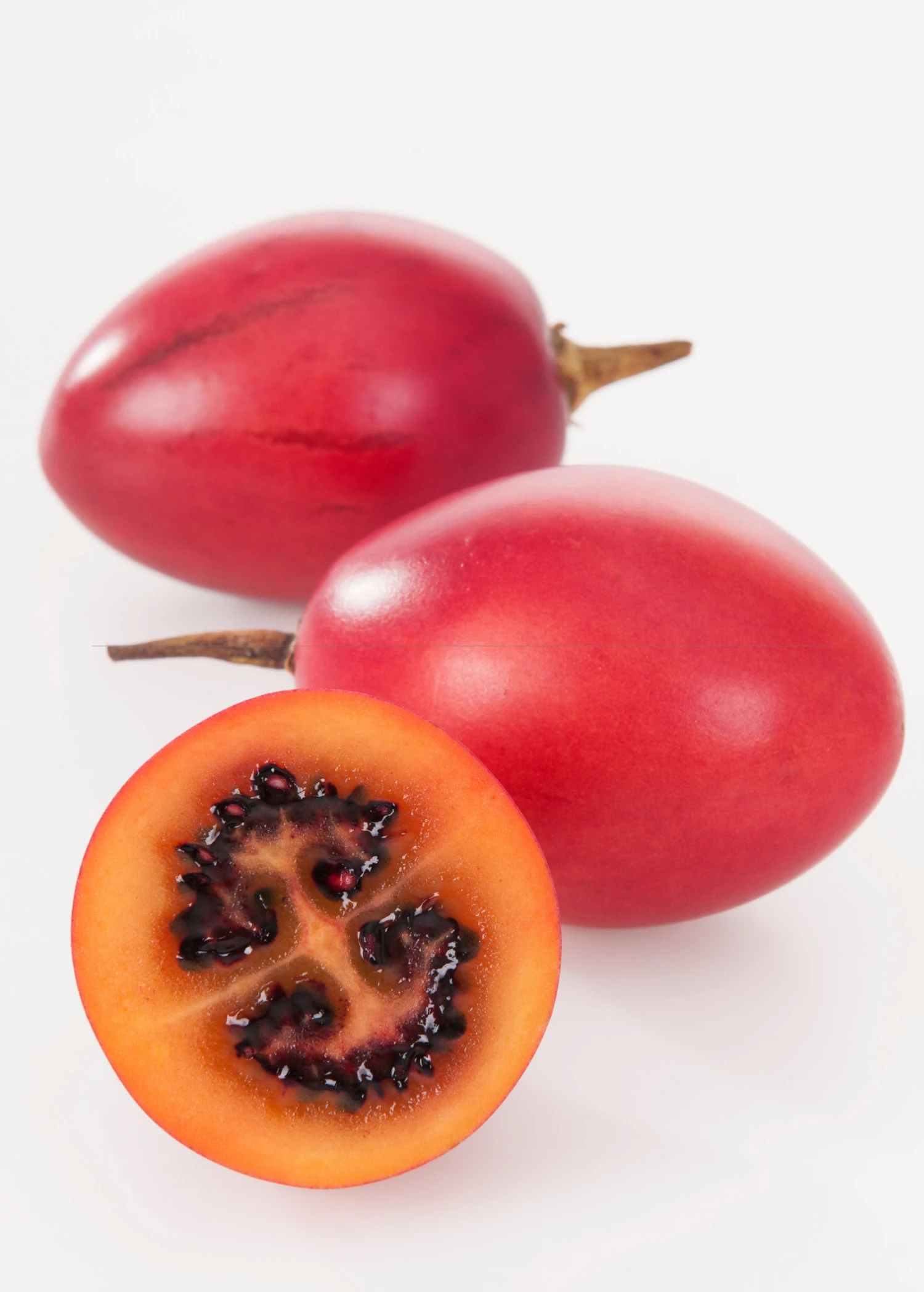 Tree Tomato, Red (Cyphomandra Betaceae) - Image 2